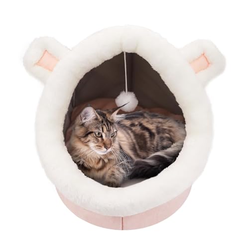 DingGreat Kuschelhöhle Hund, Schlafsack Katze, Katzenbetten Für Hauskatzen, Katzenhaus Mit Waschbaren Kissen, Weiches Und Flauschiges Katzenzelt Für Kleine, Mittelgroße Haustiere-M DingGreat Kuschelhöhle Hund, Schlafsack Katze, Katzenbetten Für Hauskatzen, Katzenhaus Mit Waschbaren Kissen, Weiches Und Flauschiges Katzenzelt Für Kleine, Mittelgroße Haustiere-M von DingGreat