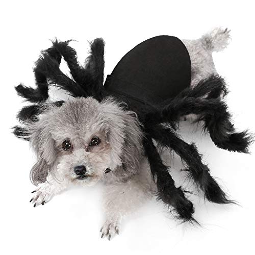 DingLong Haustier Hunde und Katzen Halloween Kostüme, Spider Wing Verkleidungen Cosplay, lustige Haustier Spinne Riesenspinne Kleidung für Hund Katze von DingLong