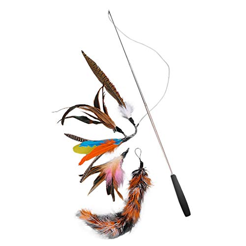 DingLong Haustier Katze Feder - Funny Retractable Fishing Rod Set Feather Set Feathers 5 Replacement Heads, Pole Cat Toy Sets von DingLong