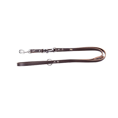 Dingo 10263 Hundeleine für Hunde, verstellbar, Echtleder, für den täglichen Gebrauch, Braun Dingo 10263 Hundeleine für Hunde, verstellbar, Echtleder, für den täglichen Gebrauch, Braun von Dingo Waldemar Rutkowski
