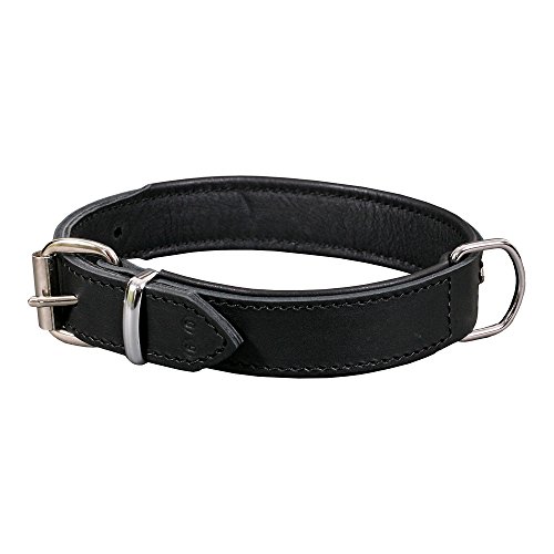 Dingo 11402 Hundehalsband aus exklusivem weichem Leder, luxuriös und strapazierfähig, schwarz von Dingo Waldemar Rutkowski
