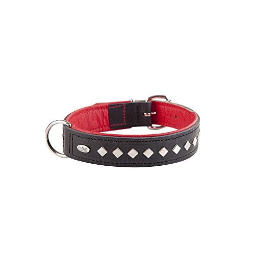 Dingo 11439 Hundehalsband aus exklusivem weichem Leder, dekorativ und strapazierfähig, schwarz mit roter Polsterung von Dingo Waldemar Rutkowski