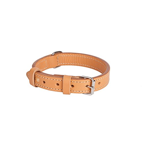 Dingo 12513 Hundehalsband aus doppelt geklammertem Leder, gefüttert, strapazierfähig, handgefertigt, klassisch, Natur Dingo 12513 Hundehalsband aus doppelt geklammertem Leder, gefüttert, strapazierfähig, handgefertigt, klassisch, Natur von Dingo Waldemar Rutkowski