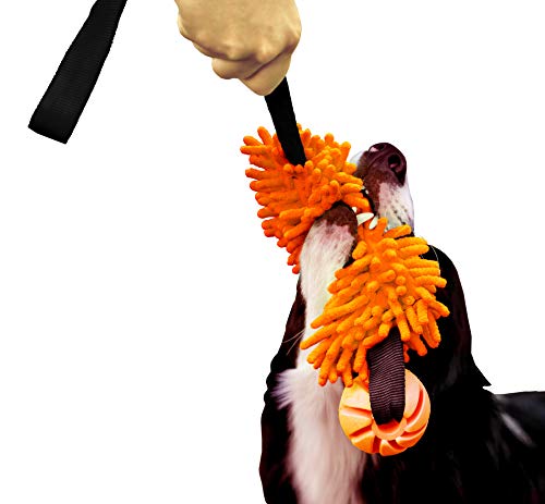 Dingo Mop Bungee Orange Mikrofaser mit Vanille Duft Ball Hundespielzeug Agility Apporte zum Spielen Tauziehen Beweglichkeit Wassertraining 15586-2 von Dingo Waldemar Rutkowski