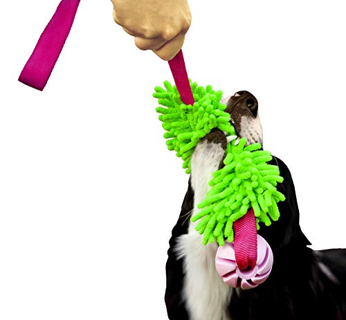 Dingo Mop Bungee Grün Mikrofaser mit Vanille Duft Ball Hundespielzeug Agility Apporte zum Spielen Tauziehen Beweglichkeit Wassertraining 15589-2 von Dingo Waldemar Rutkowski