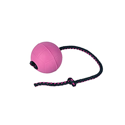 Dingo BIBI Ball 30 cm Griff Schwimmend auf Wasser Gummihundespielzeug mit durch das Innere gezogenem Seil für das Training von Hunden, Abrufen, Agility, Belohnung, Spaß Beere 17255 Dingo BIBI Ball 30 cm Griff Schwimmend auf Wasser Gummihundespielzeug mit durch das Innere gezogenem Seil für das Training von Hunden, Abrufen, Agility, Belohnung, Spaß Beere 17255 von Dingo Waldemar Rutkowski