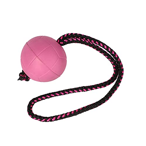 Dingo Bäll BIBI für Training # 70 mit Griff 30 cm Farbe Beere schwimmend Bäll Kautschuk Gummi Apport Spiel mit Hund 17251 Dingo Bäll BIBI für Training # 70 mit Griff 30 cm Farbe Beere schwimmend Bäll Kautschuk Gummi Apport Spiel mit Hund 17251 von Dingo Waldemar Rutkowski