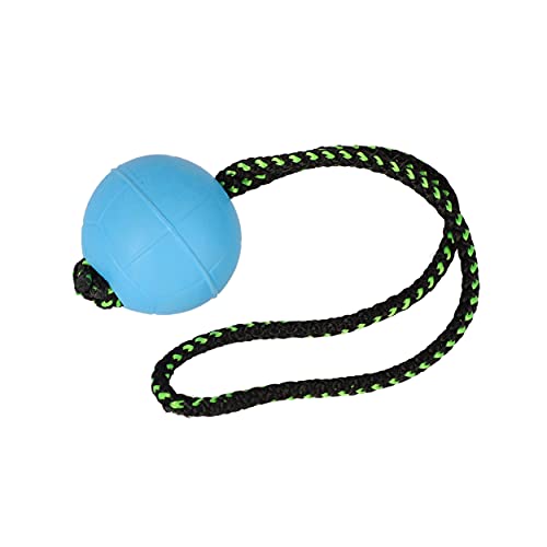 Dingo Bäll BIBI für Training # 70 mit Griff 30 cm Farbe Blau schwimmend Bäll Kautschuk Gummi Apport Spiel mit Hund 17253 Dingo Bäll BIBI für Training # 70 mit Griff 30 cm Farbe Blau schwimmend Bäll Kautschuk Gummi Apport Spiel mit Hund 17253 von Dingo Waldemar Rutkowski