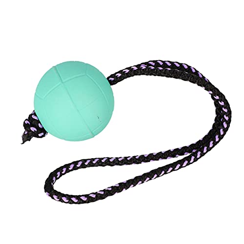 Dingo Bäll BIBI für Training # 70 mit Griff 30 cm Farbe Minze schwimmend Bäll Kautschuk Gummi Apport Spiel mit Hund 17250 Dingo Bäll BIBI für Training # 70 mit Griff 30 cm Farbe Minze schwimmend Bäll Kautschuk Gummi Apport Spiel mit Hund 17250 von Dingo Waldemar Rutkowski