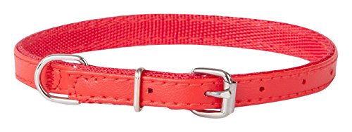 Dingo Basic Hundehalsband mit Metallverschluss, zart und langlebig, handgefertigt, Rot 13069 von Dingo Waldemar Rutkowski