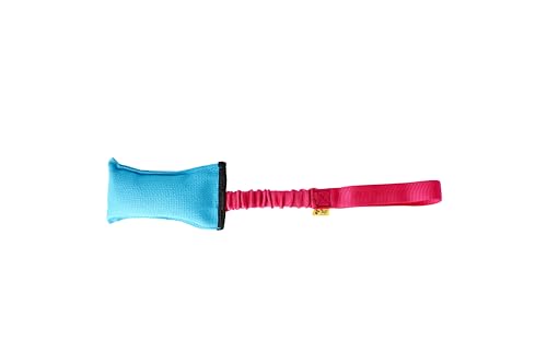 Dingo Beisswurst Agility Hundespielzeug für Training, Apportieren, Wassersport, Zerrspiele, Spielen, 15 x 8 cm, leichtes und schwimmfähiges Zerrspielzeug Blau mit rosa Bungee-Griff 15592 Dingo Beisswurst Agility Hundespielzeug für Training, Apportieren, Wassersport, Zerrspiele, Spielen, 15 x 8 cm, leichtes und schwimmfähiges Zerrspielzeug Blau mit rosa Bungee-Griff 15592 von Dingo Waldemar Rutkowski