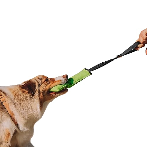 Dingo Beisswurst Agility Hundespielzeug für Training, Apportieren, Wassersport, Zerrspiele, Spielen, 27 x 8 cm, leichtes und schwimmfähiges Zerrspielzeug Grün mit schwarzem Bungee-Griff 15597 Dingo Beisswurst Agility Hundespielzeug für Training, Apportieren, Wassersport, Zerrspiele, Spielen, 27 x 8 cm, leichtes und schwimmfähiges Zerrspielzeug Grün mit schwarzem Bungee-Griff 15597 von Dingo Waldemar Rutkowski