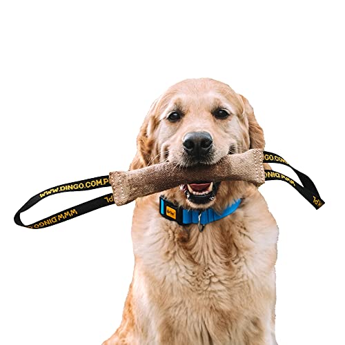 Dingo Beisswurst aus Jute 2 Griff Hundetraining Hundespielzeug Spiel mit Hund Apport Ausbildung handgefertigter Länge 28 cm Breite 6 cm natürliche Farbe 10598 von Dingo Waldemar Rutkowski