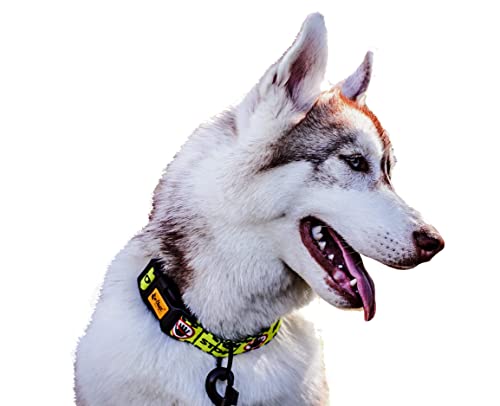 Dingo Do Not Haustier-Halsband, verstellbar, sichere Kontrolle, Pflege für besondere Hundebedürfnisse, Schwarz/Gelb, Größe L, 15361 Dingo Do Not Haustier-Halsband, verstellbar, sichere Kontrolle, Pflege für besondere Hundebedürfnisse, Schwarz/Gelb, Größe L, 15361 von Dingo Waldemar Rutkowski
