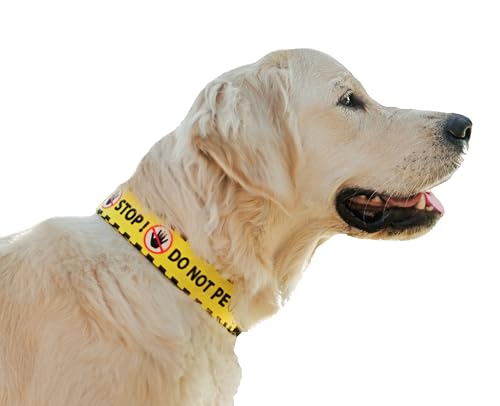 Dingo 15362 Halsband mit Aufschrift Do Not Pet, verstellbar, sichere Kontrolle, Pflege für besondere Hundebedürfnisse, Schwarz/Gelb, Größe XL von Dingo Waldemar Rutkowski