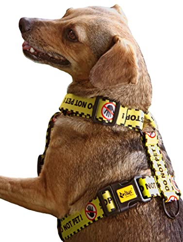 Dingo Do Not Pet 95377 Hundegeschirr, verstellbar, sichere Kontrolle, Pflege für besondere Hundebedürfnisse, Schwarz/Gelb, Größe M von Dingo Waldemar Rutkowski