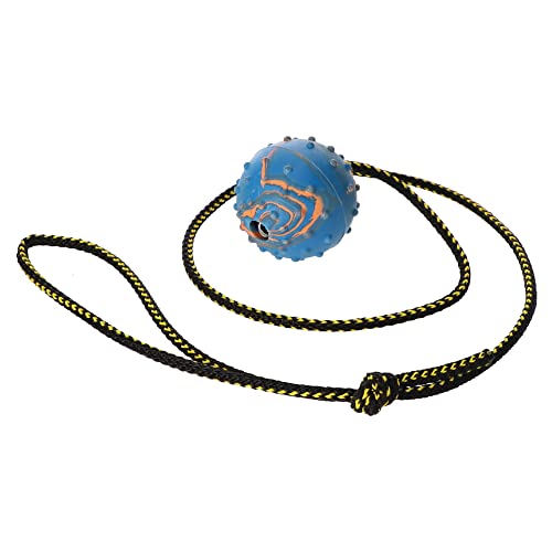 Dingo Gummiball Kordel 100 cm Große S ø 5 cm Klein Ball Trainingsball zum Apportieren 17321 Dingo Gummiball Kordel 100 cm Große S ø 5 cm Klein Ball Trainingsball zum Apportieren 17321 von Dingo Waldemar Rutkowski
