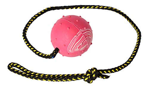 Dingo Gummiball mit Glocke Kordel 60 cm Mittel Trainingsball zum Apportieren 17280 Dingo Gummiball mit Glocke Kordel 60 cm Mittel Trainingsball zum Apportieren 17280 von Dingo Waldemar Rutkowski