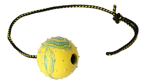 Dingo Gummiball mit Kordel 60 cm Groß Trainingsball zum Apportieren 17298 Dingo Gummiball mit Kordel 60 cm Groß Trainingsball zum Apportieren 17298 von Dingo Waldemar Rutkowski