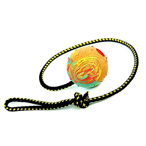 Dingo Gummiball mit Kordel 60 cm Große M ø 6 cm Mittel Trainingsball zum Apportieren 17297 Dingo Gummiball mit Kordel 60 cm Große M ø 6 cm Mittel Trainingsball zum Apportieren 17297 von Dingo Waldemar Rutkowski