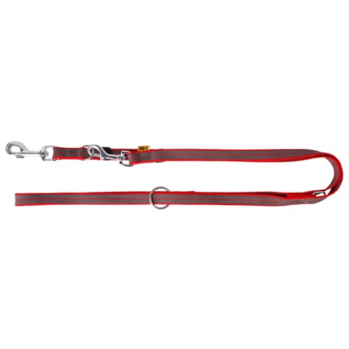 Dingo Gummierte Hundeleine verlängert Hundetraining Spaziergänge mit dem Hund Komfort und Kontrolle leichtigkeit und weicher 2,0 cm x 220 cm Rot 12606 von Dingo Waldemar Rutkowski