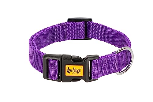 Dingo Halsband Energy Regular 1,6 cm x 35 cm (20-32 cm) Band Kunststoffverschluss Violett 14765 von Dingo Waldemar Rutkowski