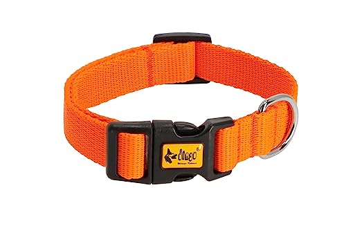 Dingo Halsband Energy Regular 2,5 cm x 55 cm (31-49 cm) Band Kunststoffverschluss Orange 14757 von Dingo Waldemar Rutkowski