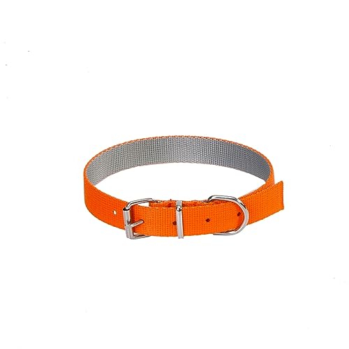 Dingo Halsband Energy Silver 2,5 x 55 cm (36-46 cm) Band Orange-Grau 14546 von Dingo Waldemar Rutkowski