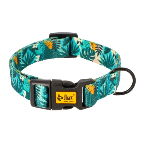 Dingo Halsband Regulär Klickverschluss, Kunststoff wasserdicht Hundehalsband City Monstera 3,0 x 60 cm (35-55 cm) 15378 von Dingo Waldemar Rutkowski
