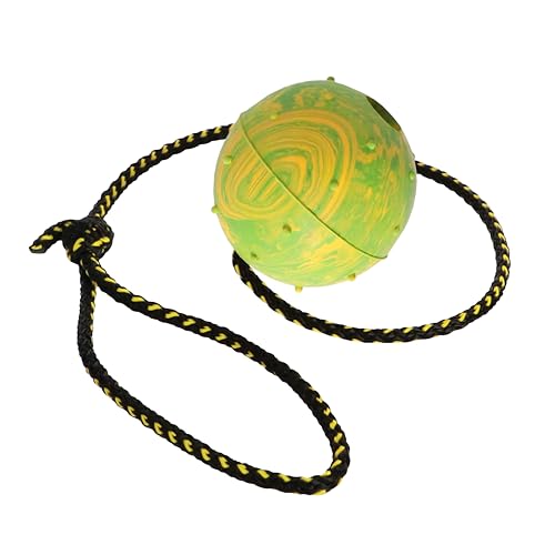 Dingo Hundeball – vollständig mit Gummi gefüllt, mit 60 cm langem Seil – geeignet zum Apportieren, Hundesport, Agility, Spielen – kleine Größe – zufällige Farbe (17320-2) von Dingo Waldemar Rutkowski