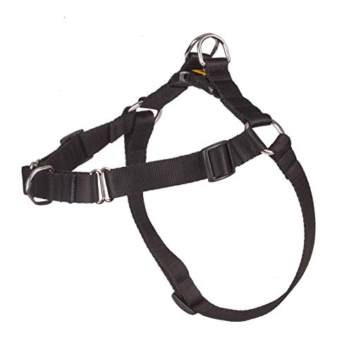 Dingo Hundegeschirr Große 60 (48-64 cm) Breite 1,6 cm Schwarz kein Ziehen Geschirr aus Polypropylenband Anti Zug Geschirr No Pull für Ihren Hund Brustgeschirre von Dingo Waldemar Rutkowski