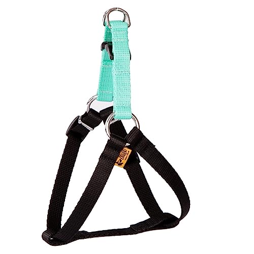 Dingo Hundegeschirr Walk-in/Step-in 'fred' Energy-Kollektion Hundegeschirre aus Band Große L Breite Band 2,0 cm Brustumfang 52-74 cm Mint 94637 Dingo Hundegeschirr Walk-in/Step-in 'fred' Energy-Kollektion Hundegeschirre aus Band Große L Breite Band 2,0 cm Brustumfang 52-74 cm Mint 94637 von Dingo Waldemar Rutkowski