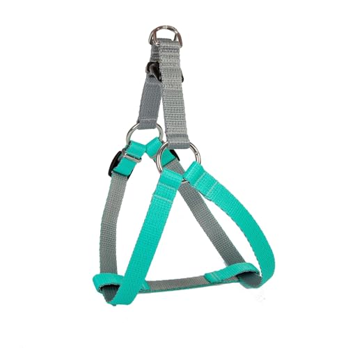 Dingo Hundegeschirr Walk-in/Step-in 'fred' Energy-Silver Kollektion Hundegeschirre aus Band Große L Breite Band 2,0 cm Brustumfang 52-74 cm Mint-Grau 94672 Dingo Hundegeschirr Walk-in/Step-in 'fred' Energy-Silver Kollektion Hundegeschirre aus Band Große L Breite Band 2,0 cm Brustumfang 52-74 cm Mint-Grau 94672 von Dingo Waldemar Rutkowski