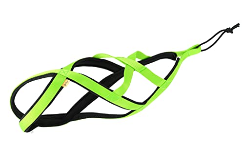 Dingo Hundegeschirre Sled Farbe Grün Zuggeschirr Canicross Bike-Ski-Jöring Training Dogtrekking Große M 15072 Dingo Hundegeschirre Sled Farbe Grün Zuggeschirr Canicross Bike-Ski-Jöring Training Dogtrekking Große M 15072 von Dingo Waldemar Rutkowski