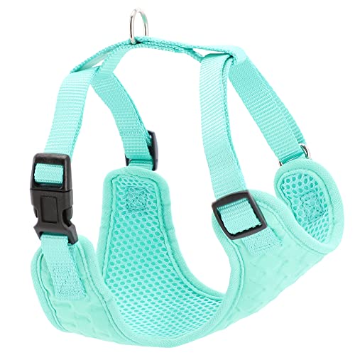Dingo Hundegeschirre ohne Druck Verstellbar Große L ; a: 39-59 cm, b: 49-69 cm Minz 15874 Dingo Hundegeschirre ohne Druck Verstellbar Große L ; a: 39-59 cm, b: 49-69 cm Minz 15874 von Dingo Waldemar Rutkowski