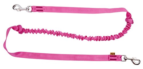 Dingo Hundeleine aus Band Ruckdämpfer mit 2 Karabinern Lange 170 cm Pink von Dingo Waldemar Rutkowski