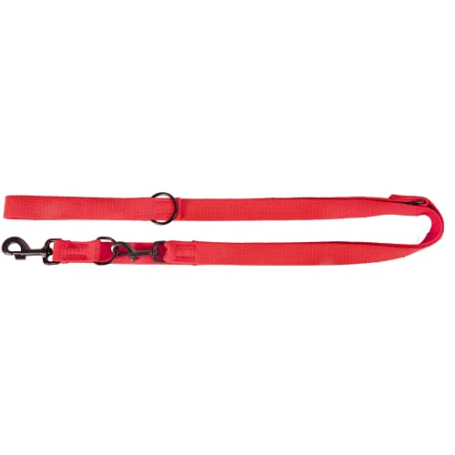 Dingo Hundeleine verlängerte aus Baumwollband für Hunde ideal für jeden Hund maschinenwaschbar langlebigen Stahlkarabinerhaken 2,0x220 cm Rot 14801 Dingo Hundeleine verlängerte aus Baumwollband für Hunde ideal für jeden Hund maschinenwaschbar langlebigen Stahlkarabinerhaken 2,0x220 cm Rot 14801 von Dingo Waldemar Rutkowski