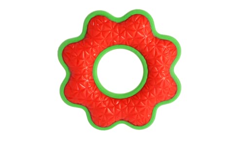Dingo Hundespielzeug aus Hart Gummi TPR Blume 16,5 cm 17393 Dingo Hundespielzeug aus Hart Gummi TPR Blume 16,5 cm 17393 von Dingo Waldemar Rutkowski