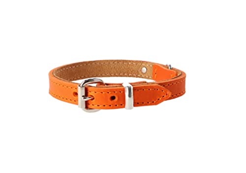 Dingo Lederhalsband Boutique Premium Soft Farbe des Halsbandes Orange Größe S 1,6x40 cm (29-32 cm) 11109 von Dingo Waldemar Rutkowski