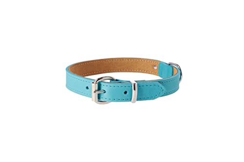 Dingo Lederhalsband Boutique Premium Soft Farbe des Halsbandes: Aqua Blau Wasserblau Größe 2,5x60 cm (45-50 cm) 11117 von Dingo Waldemar Rutkowski