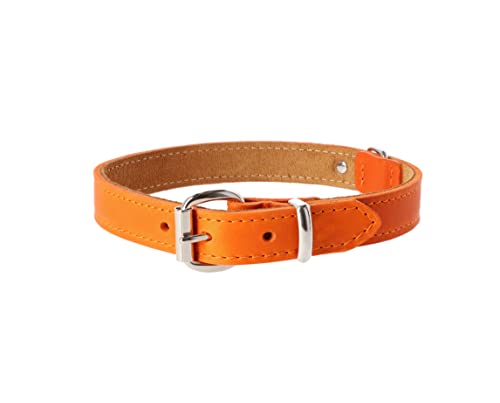 Dingo Lederhalsband Boutique Premium Soft Farbe des Halsbandes:Orange Größe L 2,5x60 cm (45-50 cm) 11115 von Dingo Waldemar Rutkowski