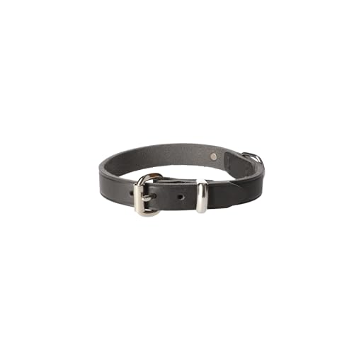 Dingo Lederhalsband Natural Eleganz Premium Hundehalsband Naturleder Handgefertigt Verchromte Schnalle Langlebigkeit 2,0x50 cm Grau 11092 Dingo Lederhalsband Natural Eleganz Premium Hundehalsband Naturleder Handgefertigt Verchromte Schnalle Langlebigkeit 2,0x50 cm Grau 11092 von Dingo Waldemar Rutkowski