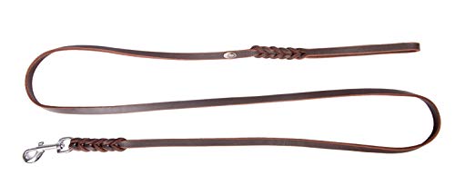 Dingo Leine aus weichem Leder mit geflochtenen Griff und Karabinerhaken 12 mm x 180 cm Braun 11255 von Dingo Waldemar Rutkowski