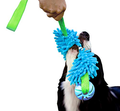 Dingo Mop Bungee Blau mit Vanille Duft Ball Hundespielzeug Agility Apporte Spiel mit Hund 15587 von Dingo Waldemar Rutkowski
