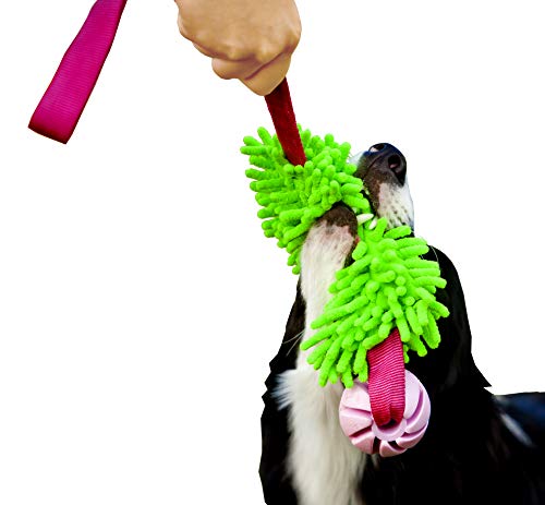 Dingo Mop Bungee Grün mit Vanille Duft Ball Hundespielzeug Agility Apporte 15589 von Dingo Waldemar Rutkowski