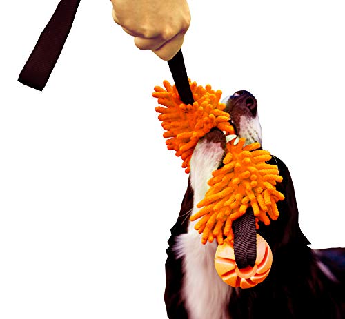 Dingo Mop Bungee Orange mit Vanille Duft Bäll Hundespielzeug Agility Apporte 15586 von Dingo Waldemar Rutkowski