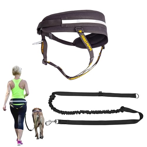 Dingo Multifunktions Lauf-Gürtel+Hundeleine mit Griff Karabiner Leine mit Ruckdämpfer Schwarz Canicross zum Joggen mit dem Hund Dogtrekking,Skijöring Z30004 Dingo Multifunktions Lauf-Gürtel+Hundeleine mit Griff Karabiner Leine mit Ruckdämpfer Schwarz Canicross zum Joggen mit dem Hund Dogtrekking,Skijöring Z30004 von Dingo Waldemar Rutkowski