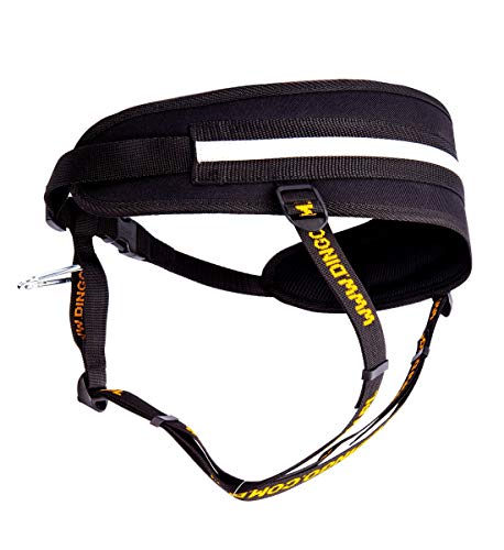 Dingo Multifunktionsgürtel für Hunde Canicross Gürtel 4 in 1 Laufband Freihandleinen für Hunde Professioneller Gürtel,Walking,Canicross,Bike-Skijöring,Trekking Schwarz 12780 Dingo Multifunktionsgürtel für Hunde Canicross Gürtel 4 in 1 Laufband Freihandleinen für Hunde Professioneller Gürtel,Walking,Canicross,Bike-Skijöring,Trekking Schwarz 12780 von Dingo Waldemar Rutkowski