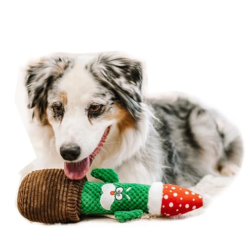 Dingo Plüsch Hundespielzeug Kaktus Carlos 34 cm Geschenk für einen Hund Weihnachten Spielzeug mit einem Quietscher Spiel mit Hund 17475 von Dingo Waldemar Rutkowski