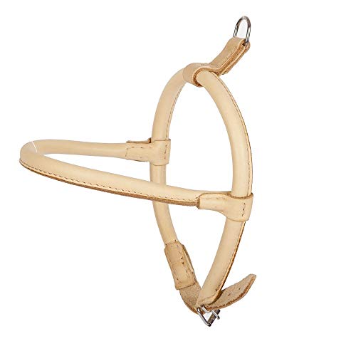 Dingo Rundes Ledergeschirr für Hund Chow-Chow ø 1,2 cm,Größe XL Natur 10669 Dingo Rundes Ledergeschirr für Hund Chow-Chow ø 1,2 cm,Größe XL Natur 10669 von Dingo Waldemar Rutkowski